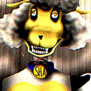 Meet your Posher, Izzy